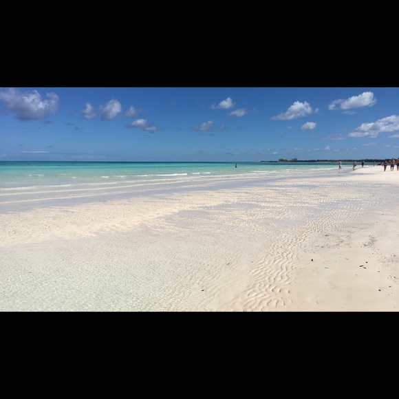 Meet your Posher, Maddison - Picture 1 of 1